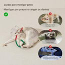 🔥😻 Corda de mastigar especialmente desenvolvida para gatos (Somente HOJE!)🔥