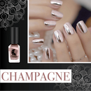 💎Esmalte espelhado💅🏻✨(COMPRE 1 LEVE 2)