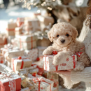 🐶🐶 NICOO – Meu Filhote Robô Realista (Somente HOJE!)🔥